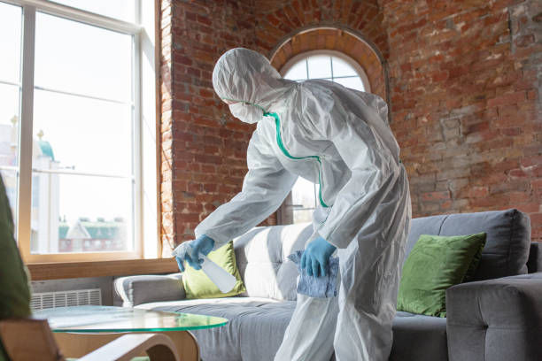 Mold Odor Removal Services in Daisetta, TX